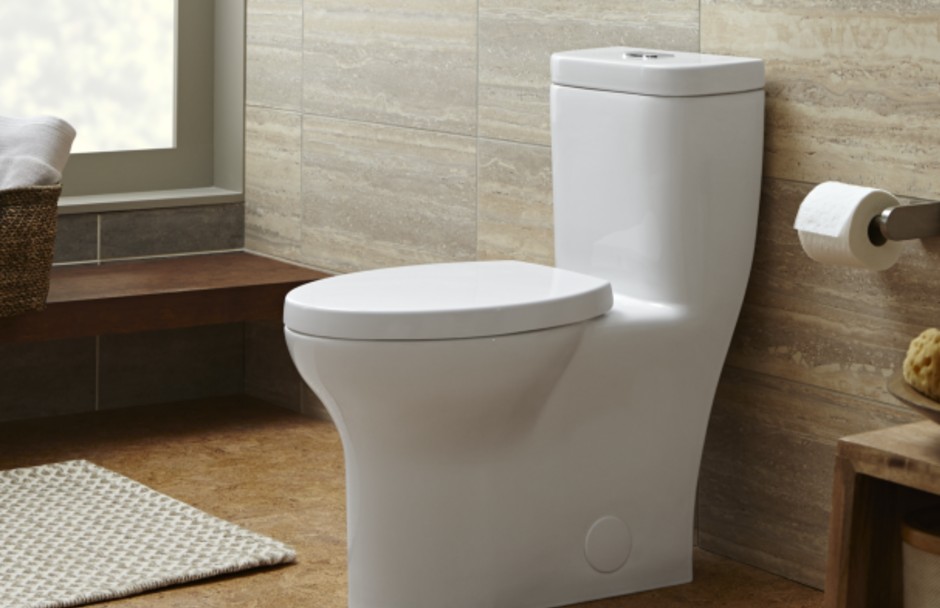 DXV Equility Elongated Toilet