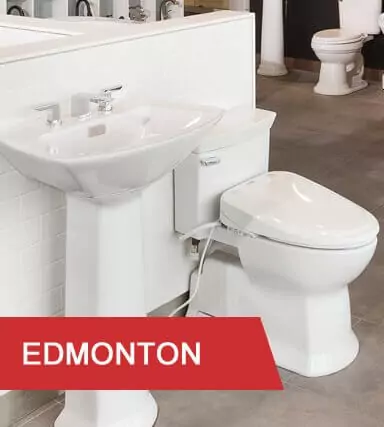 Kitchen & Bath Classics Edmonton Sink and Toilet