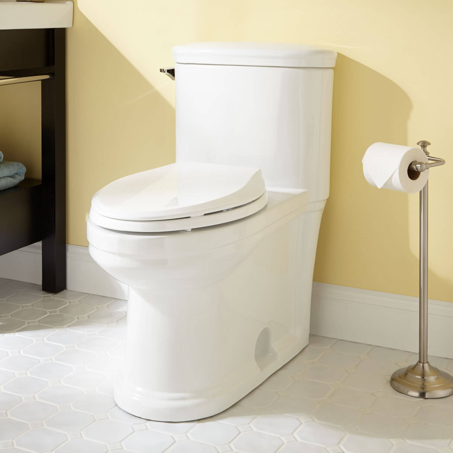 Game of Thrones: Your Guide to Finding the Best Toilet - One-Piece Toilet