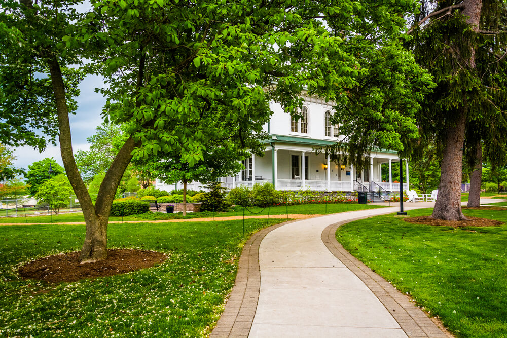 7 Ways to Go Green Around the House (Indoors and Outdoors! - Plant a Few Trees